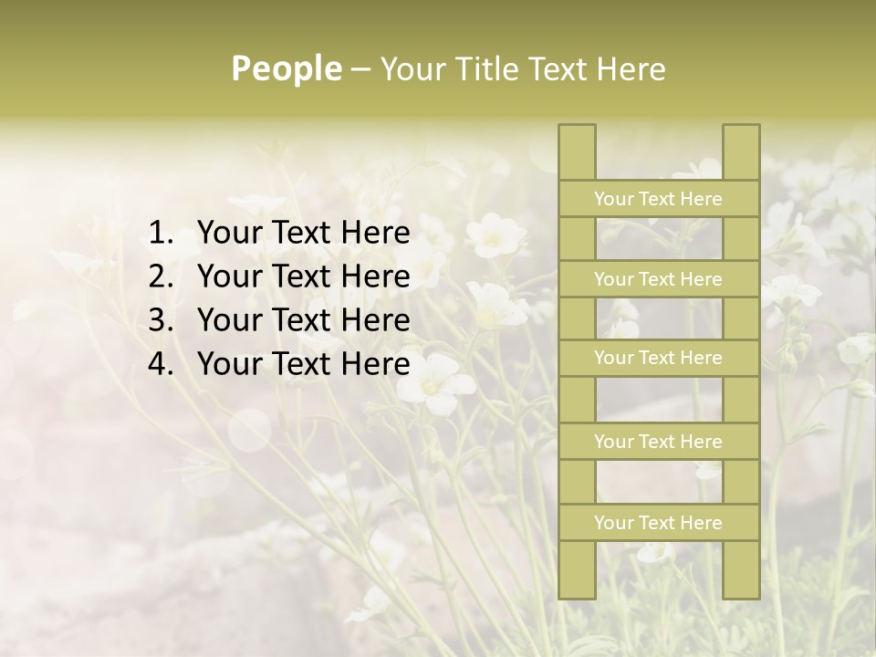 A Bunch Of Flowers That Are In The Grass PowerPoint Template