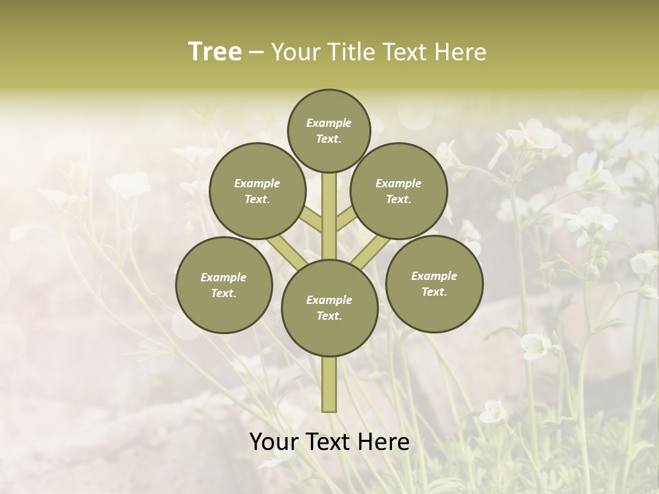 A Bunch Of Flowers That Are In The Grass PowerPoint Template