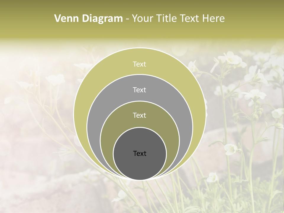 A Bunch Of Flowers That Are In The Grass PowerPoint Template