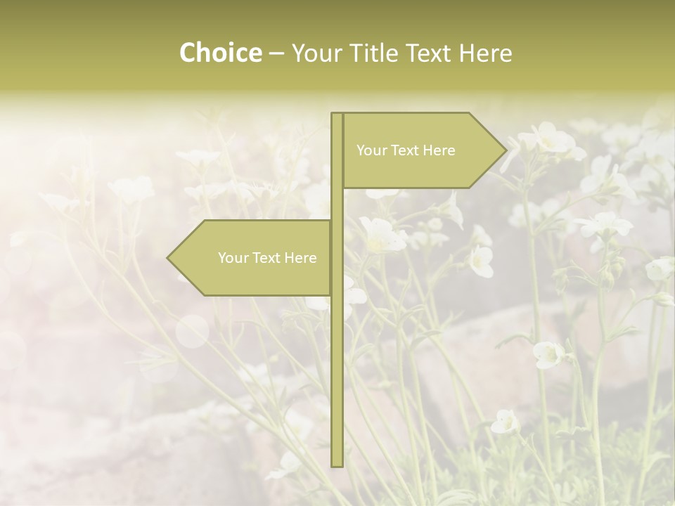 A Bunch Of Flowers That Are In The Grass PowerPoint Template