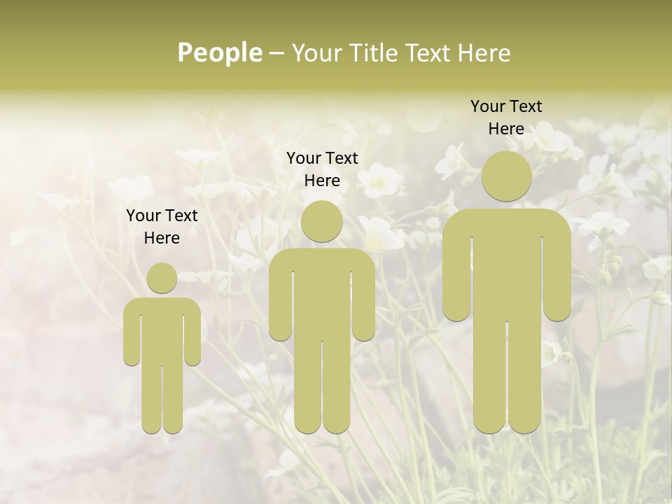 A Bunch Of Flowers That Are In The Grass PowerPoint Template