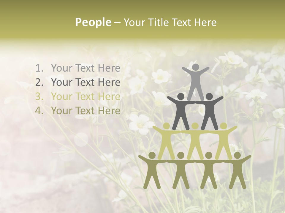 A Bunch Of Flowers That Are In The Grass PowerPoint Template