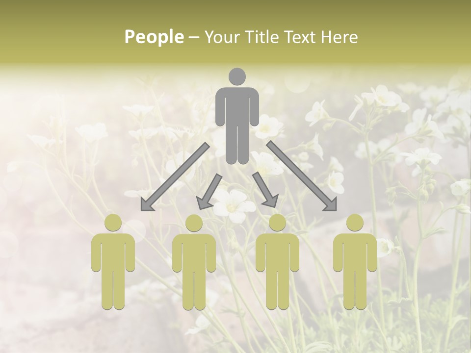 A Bunch Of Flowers That Are In The Grass PowerPoint Template