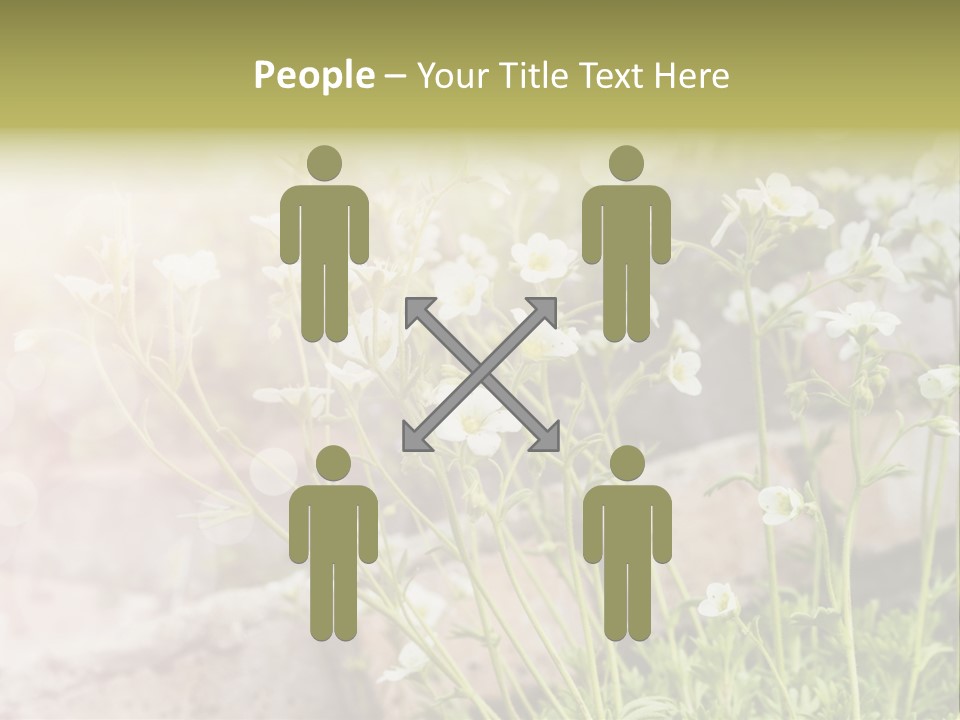 A Bunch Of Flowers That Are In The Grass PowerPoint Template