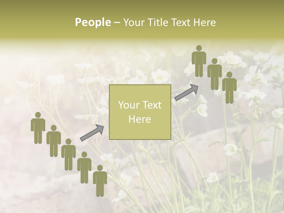 A Bunch Of Flowers That Are In The Grass PowerPoint Template