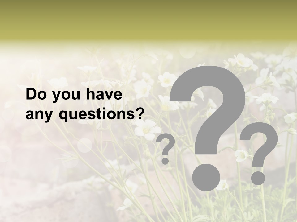 A Bunch Of Flowers That Are In The Grass PowerPoint Template