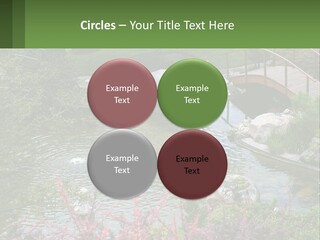 A Bridge Over A Small Pond In A Garden PowerPoint Template