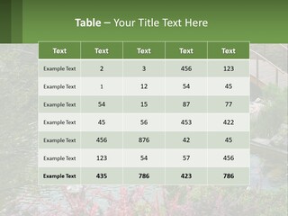 A Bridge Over A Small Pond In A Garden PowerPoint Template