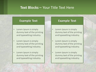 A Bridge Over A Small Pond In A Garden PowerPoint Template