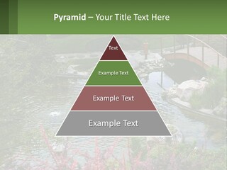 A Bridge Over A Small Pond In A Garden PowerPoint Template