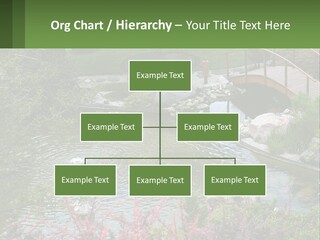 A Bridge Over A Small Pond In A Garden PowerPoint Template