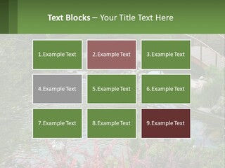 A Bridge Over A Small Pond In A Garden PowerPoint Template