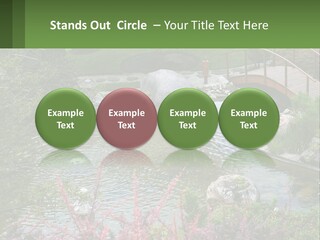 A Bridge Over A Small Pond In A Garden PowerPoint Template