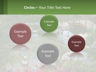 A Bridge Over A Small Pond In A Garden PowerPoint Template
