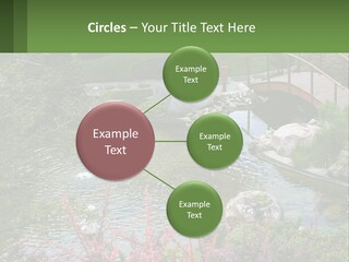 A Bridge Over A Small Pond In A Garden PowerPoint Template