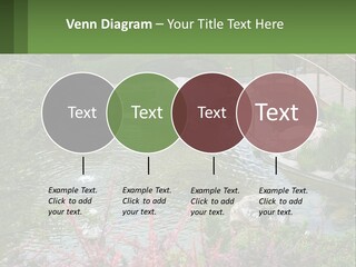 A Bridge Over A Small Pond In A Garden PowerPoint Template