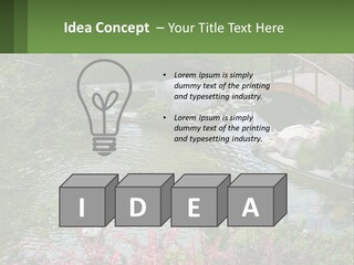 A Bridge Over A Small Pond In A Garden PowerPoint Template