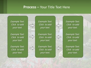 A Bridge Over A Small Pond In A Garden PowerPoint Template