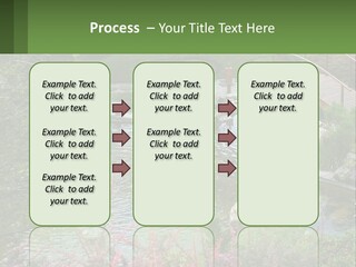 A Bridge Over A Small Pond In A Garden PowerPoint Template