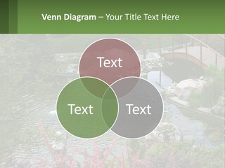 A Bridge Over A Small Pond In A Garden PowerPoint Template