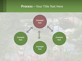 A Bridge Over A Small Pond In A Garden PowerPoint Template