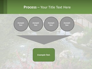 A Bridge Over A Small Pond In A Garden PowerPoint Template