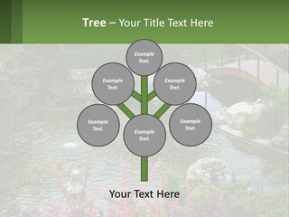 A Bridge Over A Small Pond In A Garden PowerPoint Template