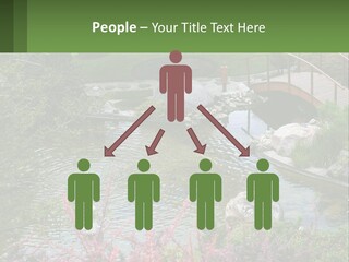 A Bridge Over A Small Pond In A Garden PowerPoint Template