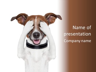 A Dog Is Covering His Eyes With His Hands PowerPoint Template