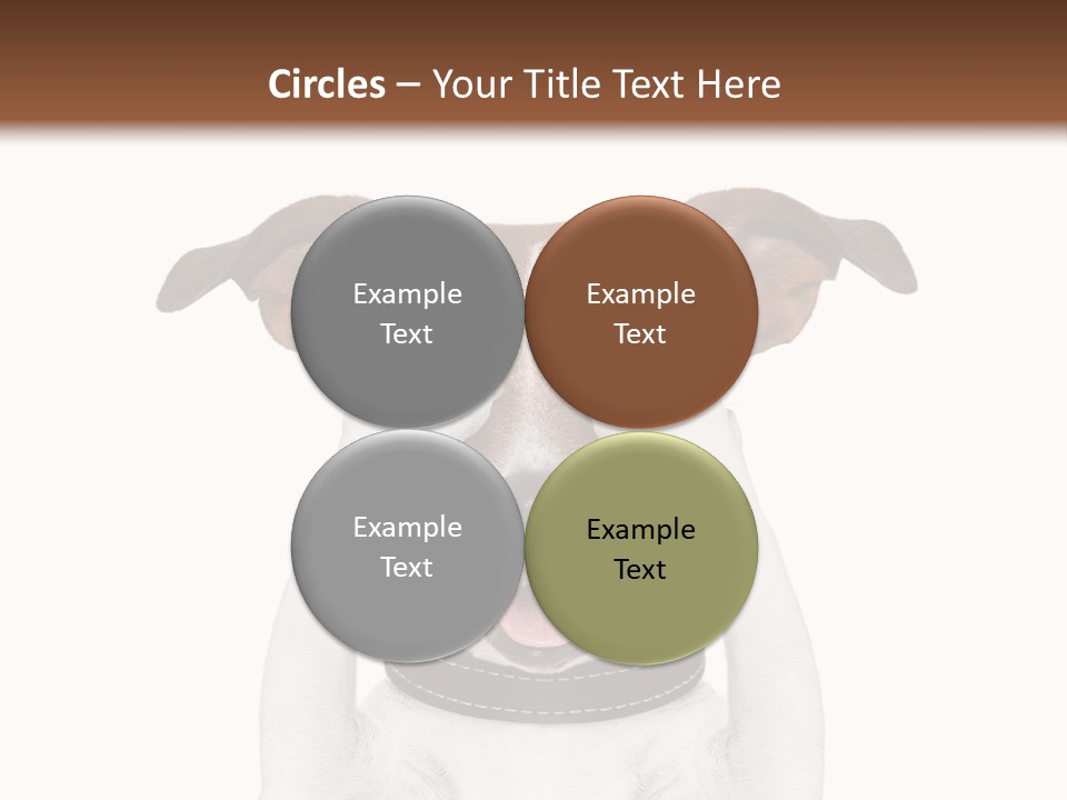 A Dog Is Covering His Eyes With His Hands PowerPoint Template