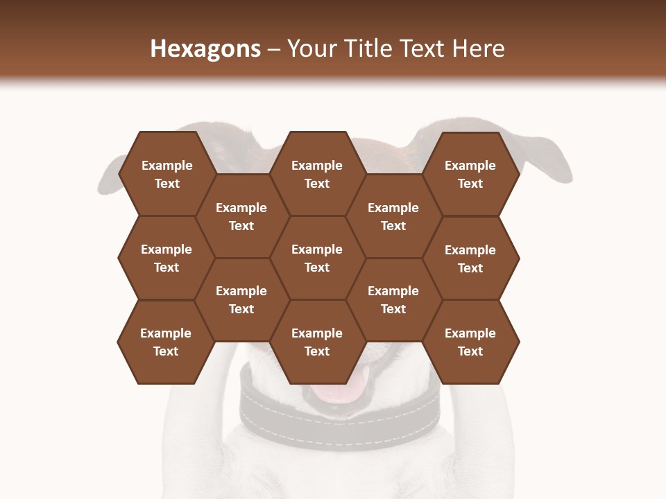 A Dog Is Covering His Eyes With His Hands PowerPoint Template