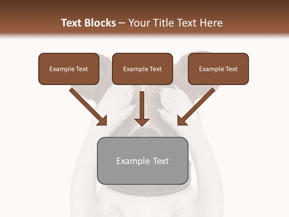 A Dog Is Covering His Eyes With His Hands PowerPoint Template