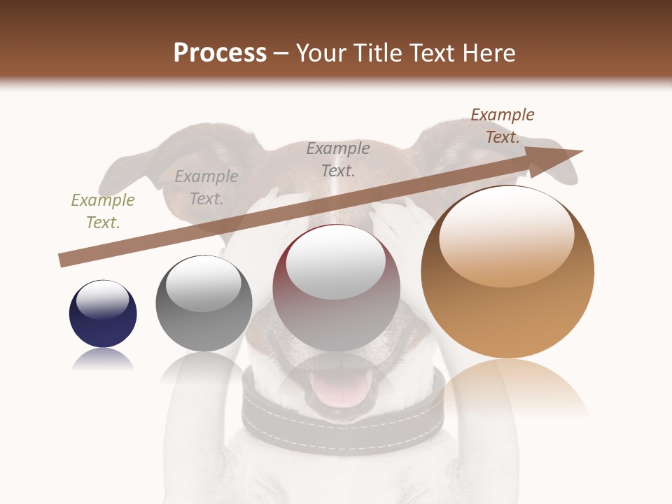 A Dog Is Covering His Eyes With His Hands PowerPoint Template
