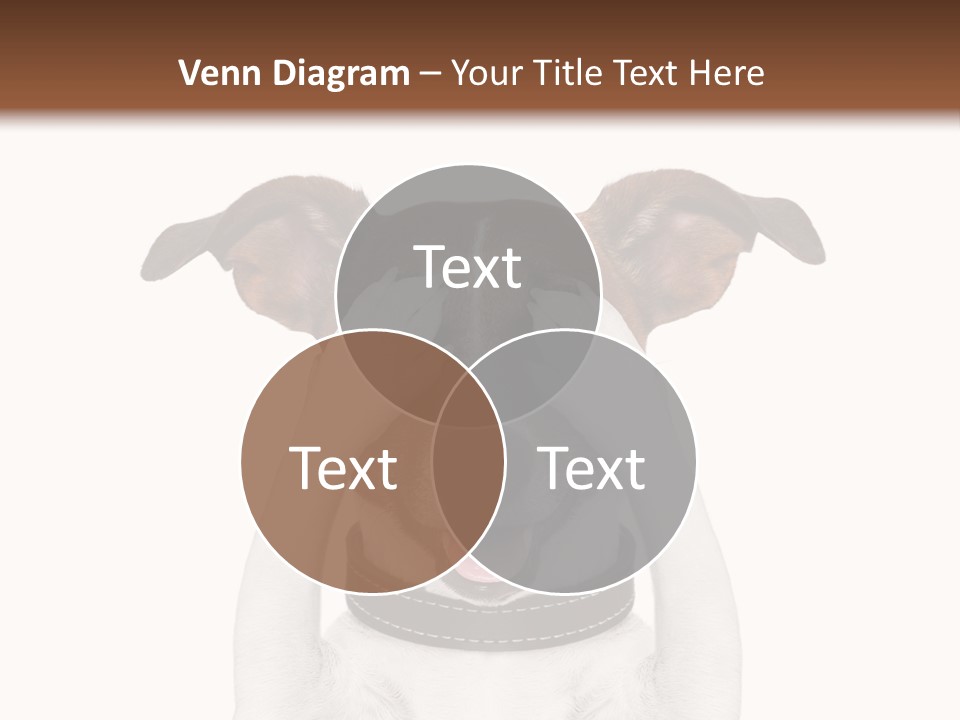 A Dog Is Covering His Eyes With His Hands PowerPoint Template