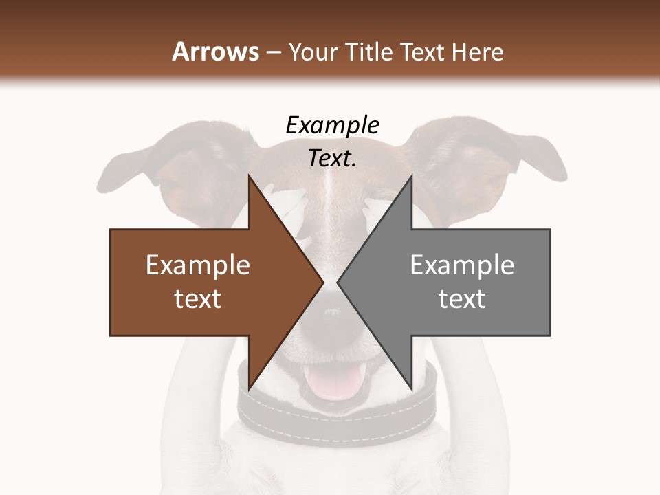 A Dog Is Covering His Eyes With His Hands PowerPoint Template