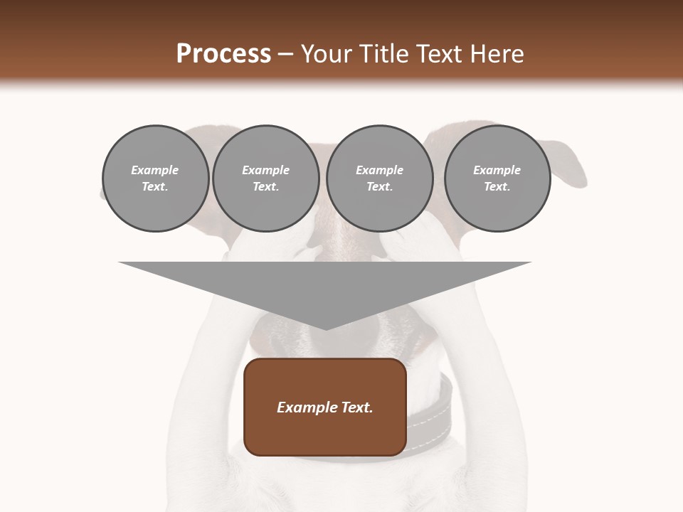 A Dog Is Covering His Eyes With His Hands PowerPoint Template