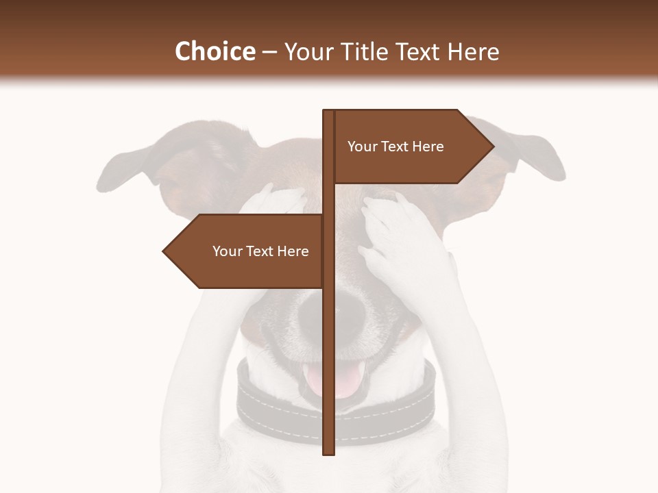 A Dog Is Covering His Eyes With His Hands PowerPoint Template