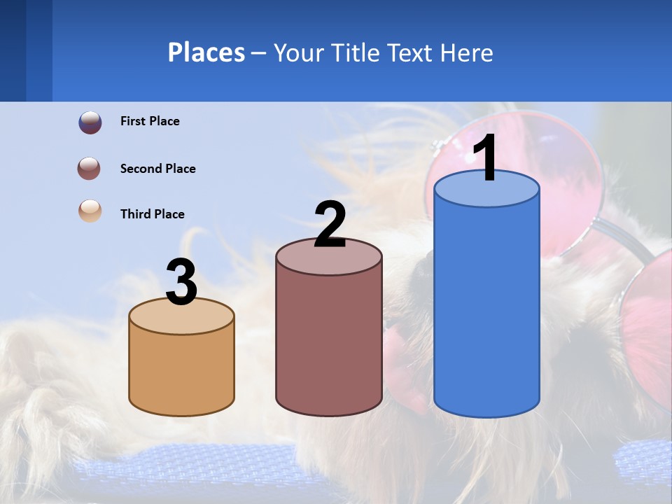 A Dog With Pink Sunglasses Laying On Top Of A Blue Blanket PowerPoint Template