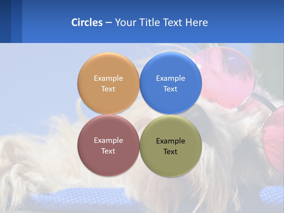 A Dog With Pink Sunglasses Laying On Top Of A Blue Blanket PowerPoint Template