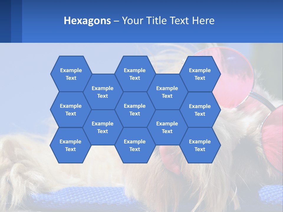 A Dog With Pink Sunglasses Laying On Top Of A Blue Blanket PowerPoint Template