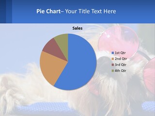 A Dog With Pink Sunglasses Laying On Top Of A Blue Blanket PowerPoint Template