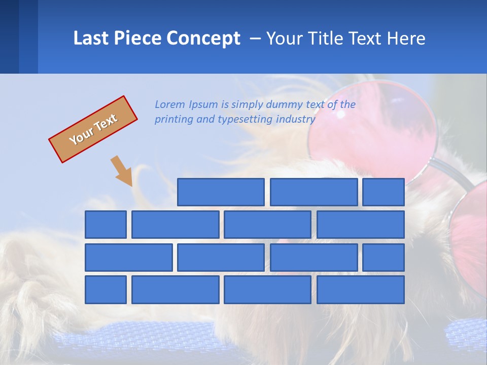 A Dog With Pink Sunglasses Laying On Top Of A Blue Blanket PowerPoint Template