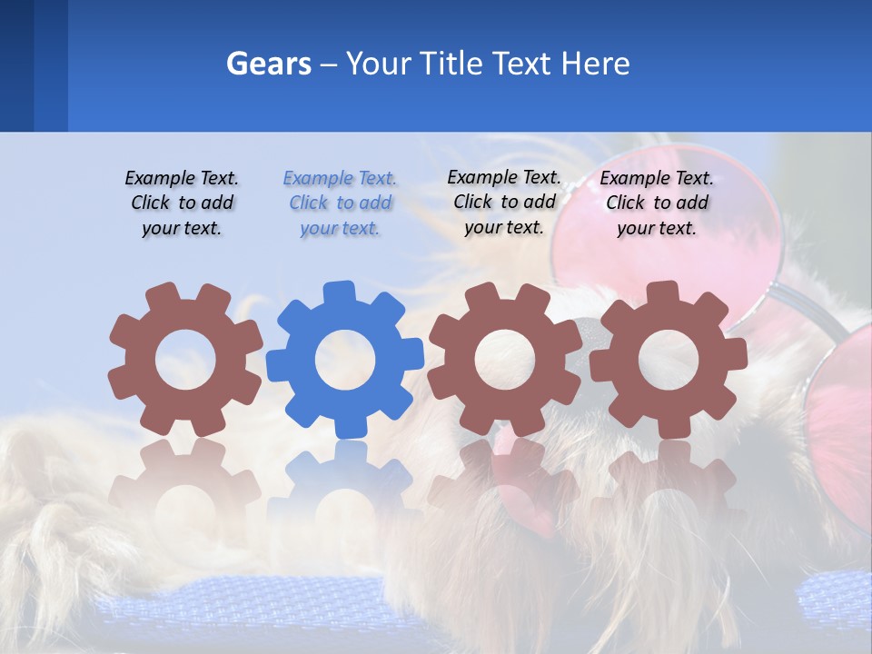 A Dog With Pink Sunglasses Laying On Top Of A Blue Blanket PowerPoint Template