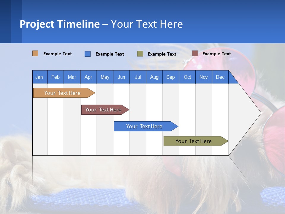 A Dog With Pink Sunglasses Laying On Top Of A Blue Blanket PowerPoint Template