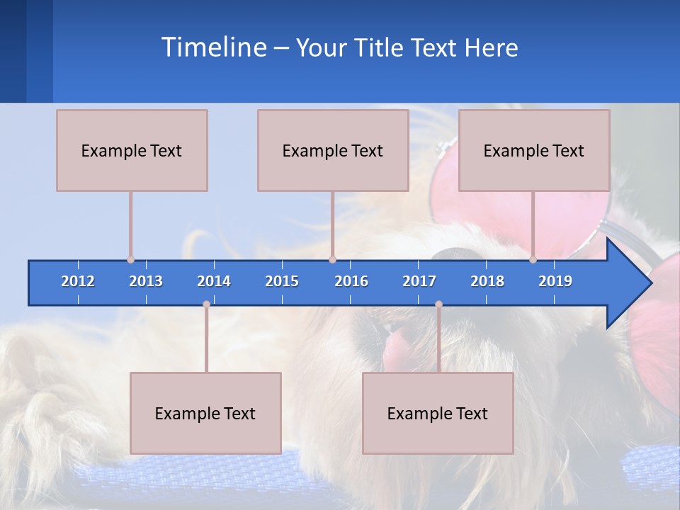 A Dog With Pink Sunglasses Laying On Top Of A Blue Blanket PowerPoint Template