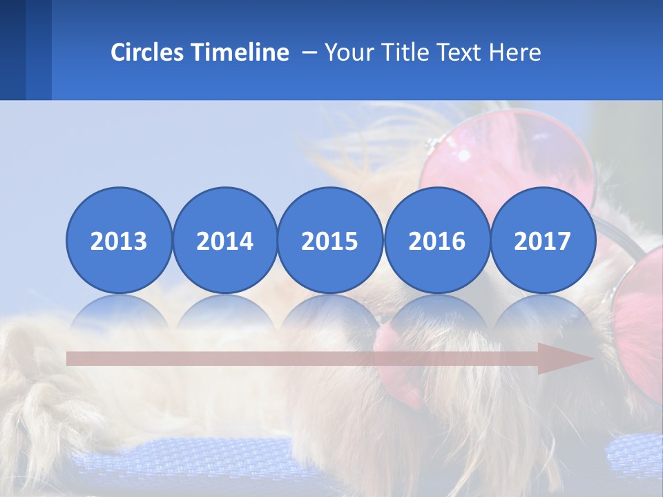 A Dog With Pink Sunglasses Laying On Top Of A Blue Blanket PowerPoint Template