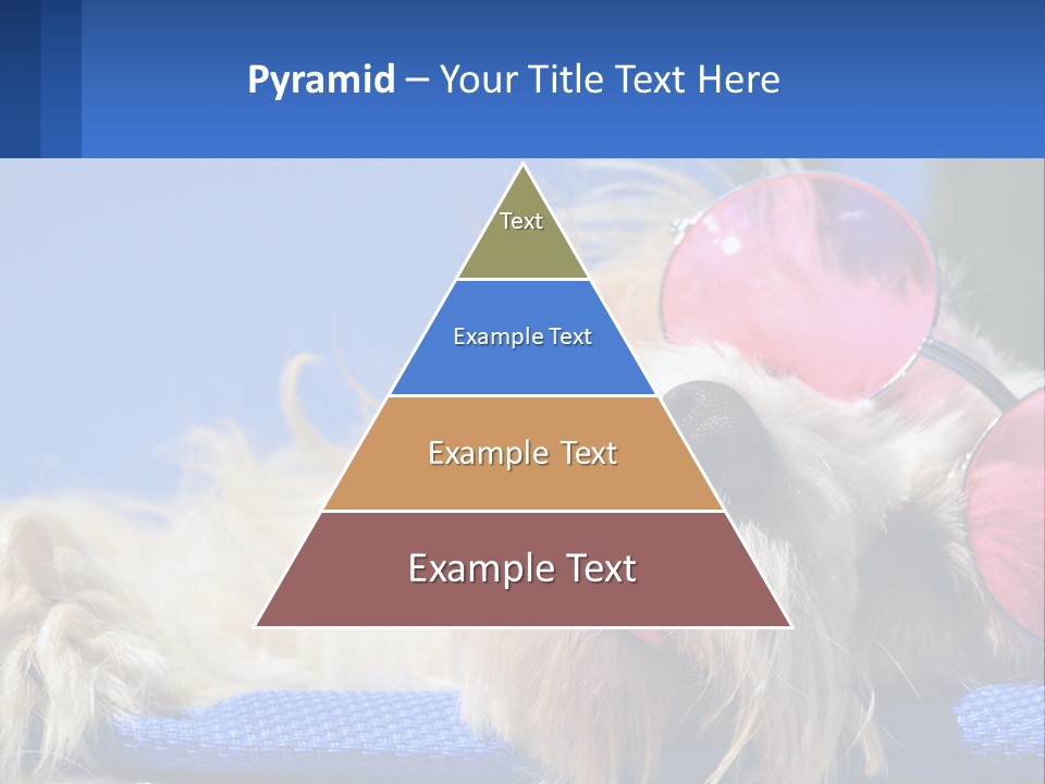 A Dog With Pink Sunglasses Laying On Top Of A Blue Blanket PowerPoint Template