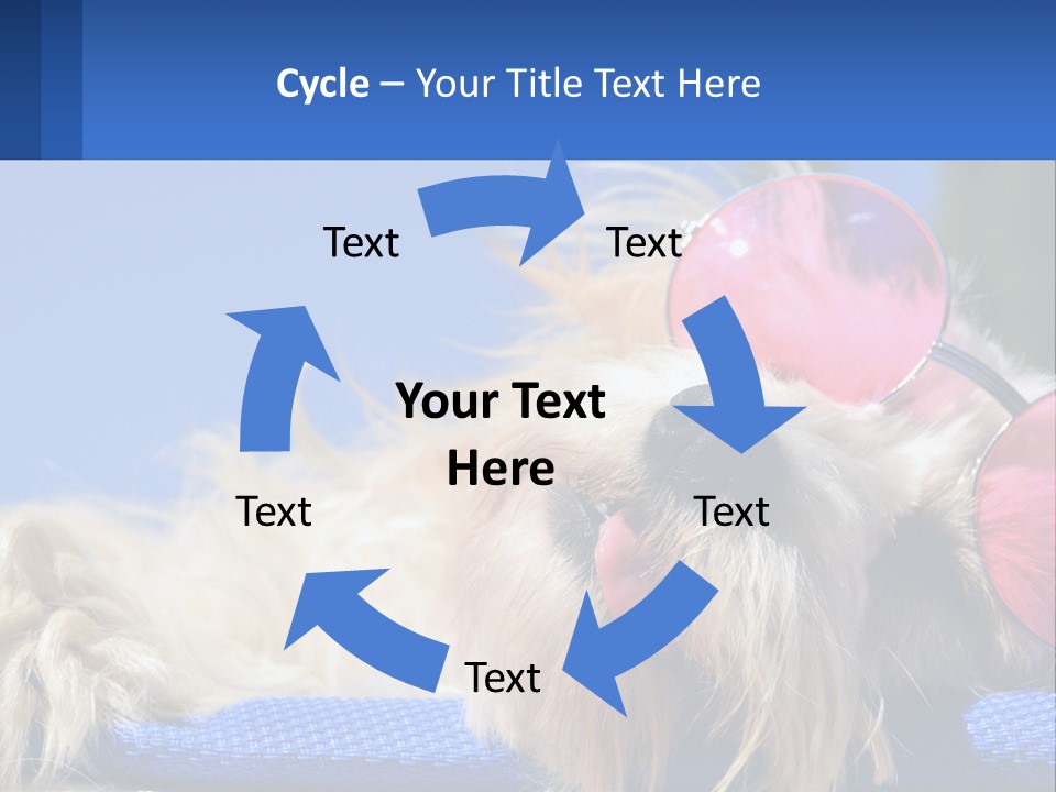 A Dog With Pink Sunglasses Laying On Top Of A Blue Blanket PowerPoint Template
