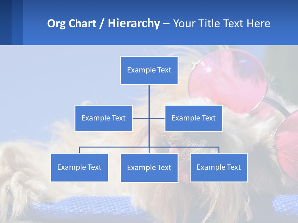 A Dog With Pink Sunglasses Laying On Top Of A Blue Blanket PowerPoint Template