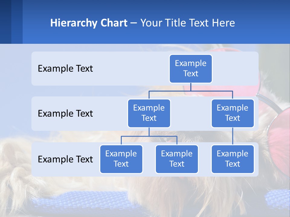 A Dog With Pink Sunglasses Laying On Top Of A Blue Blanket PowerPoint Template